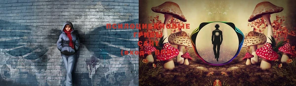 герыч Няндома
